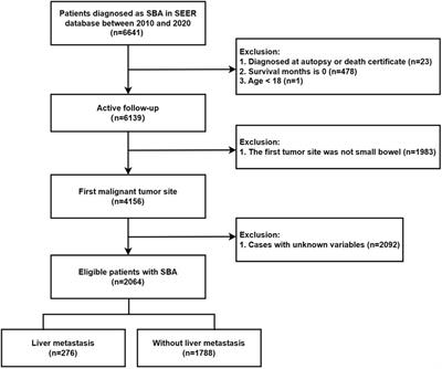 Identifying risk and prognostic factors for synchronous liver metastasis in small bowel adenocarcinoma: a predictive analysis using the SEER database